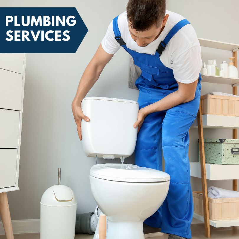 Plumbing Company in Berrien Center, MI
